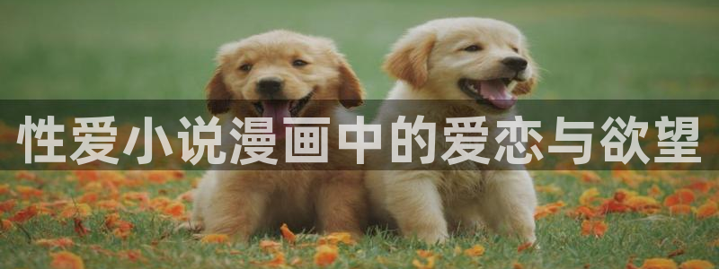 虫虫漫画网入口免费：性爱小说漫画中的爱恋与欲望