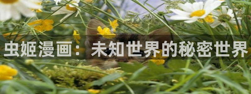 虫虫,漫画：虫姬漫画：未知世界的秘密世界